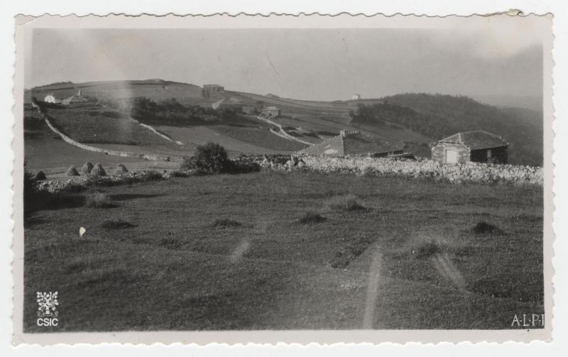 [Vista del campo] Busmargalí